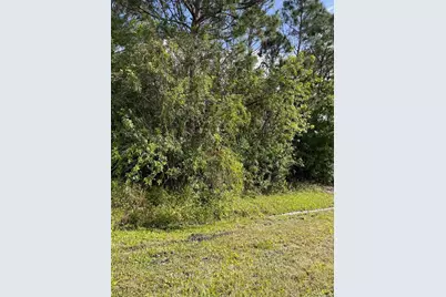 0 SE 44th Avenue, Summerfield, FL 34491 - Photo 1