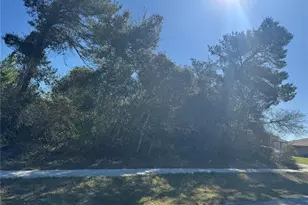 1327 Catalina Blvd, Deltona, FL 32725 - Photo 1