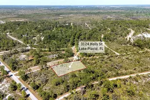 3124 Holly Terrace, Lake Placid, FL 33852 - Photo 1