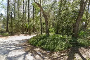4083 S Owens Trail, Inverness, FL 34450 - Photo 1