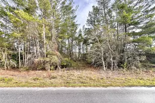 Azalea Ave, Paisley, FL 32767 - Photo 1