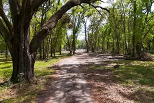 3780 SE 145th St, Summerfield, FL 34491 - Photo 1