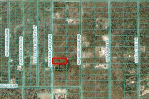 SW Little Cliffs Dr, Dunnellon, FL 34431 - Photo 1