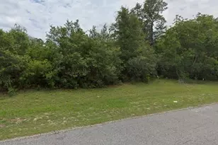 Tbd SW 27th Circle, Ocala, FL 34473 - Photo 1