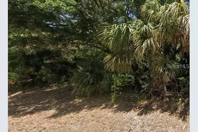 19120 Willard Avenue, Port Charlotte, FL 33954 - Photo 1