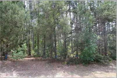 Bill Collins Road, Eustis, FL 32736 - Photo 1