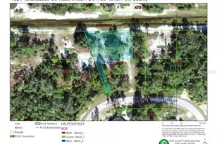 1324 Tallahassee Ct, Kissimmee, FL 34759 - Photo 1