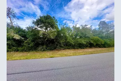 Tbd SW 35th Court Road #Lot 09, Ocala, FL 34473 - Photo 1