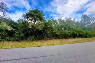 Tbd SW 35th Ct Rd, Ocala, FL 34473 - Photo 1