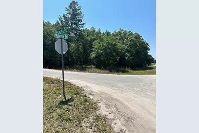 Tbd Malauka Road, Ocklawaha, FL 32179 - Photo 1