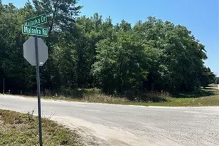 Tbd Malauka Rd, Ocklawaha, FL 32179 - Photo 1