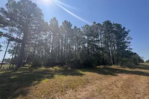 000 Bancroft Blvd, Orlando, FL 32833 - Photo 1