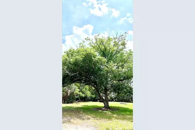 W Vining Street, Winter Garden, FL 34787 - Photo 1