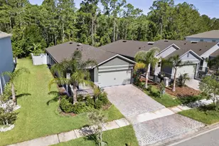 280 Caryota Ct, New Smyrna Beach, FL 32168 - Photo 1