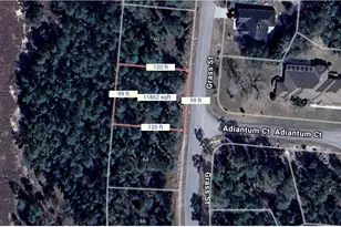 64 Grass St, Homosassa, FL 34446 - Photo 1