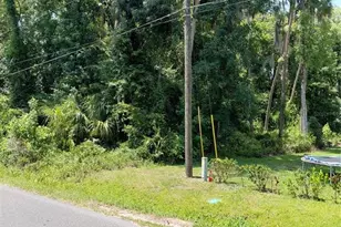 River Rd, Astor, FL 32102 - Photo 1