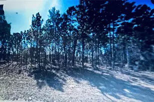 Marion Oaks, Ocala, FL 34473 - Photo 1