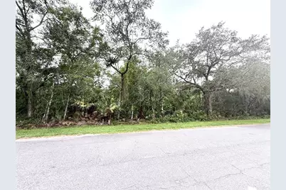 Sarmundham Street, Orlando, FL 32833 - Photo 1