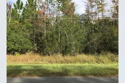 Robertson Street, Orlando, FL 32833 - Photo 1