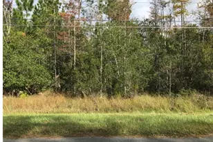 Robertson St, Orlando, FL 32833 - Photo 1