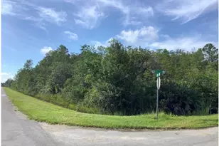 Caesar Ave, Orlando, FL 32833 - Photo 1