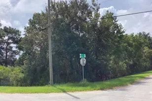 Peabody St, Orlando, FL 32833 - Photo 1