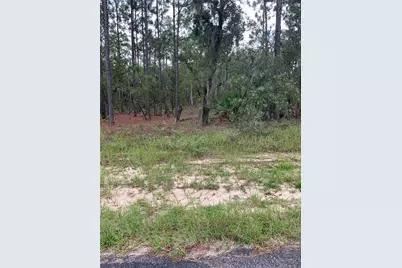 2810 W Xenox Drive, Citrus Springs, FL 34433 - Photo 1