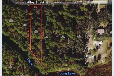 7255 Alloy Street, Ridge Manor Estates, FL 33597 - Photo 1