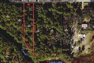 7255 Alloy St, Ridge Manor Estates, FL 33597 - Photo 1