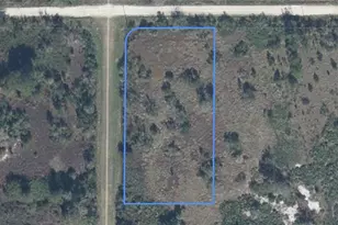 2239 W Tarkenton Rd, Avon Park, FL 33825 - Photo 1