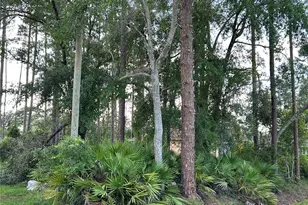 2050 10th Ave, Deland, FL 32724 - Photo 1