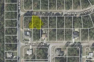 9317 N Fairy Lilly Dr, Citrus Springs, FL 34433 - Photo 1