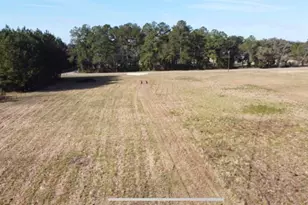 Cr-241, Lake Butler, FL 32054 - Photo 1