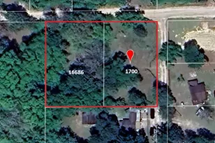 16686 NE 17th Pl, Silver Springs, FL 34488 - Photo 1