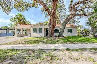 3810 18th Ave S, Saint Petersburg, FL 33711 - Photo 1