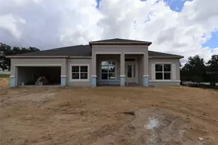 3334 Wolf Lk Ave, Apopka, FL 32712 - Photo 1