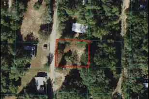 4215 NE 172nd Ave, Silver Springs, FL 34488 - Photo 1