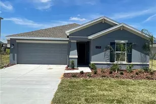 4291 Blackshear Ct, Clermont, FL 34714 - Photo 1