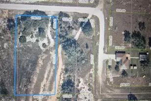 2177 W Shula Rd, Avon Park, FL 33825 - Photo 1