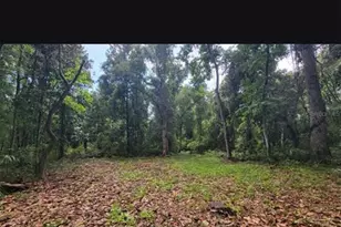 25th Ave SW, Chiefland, FL 32626 - Photo 1