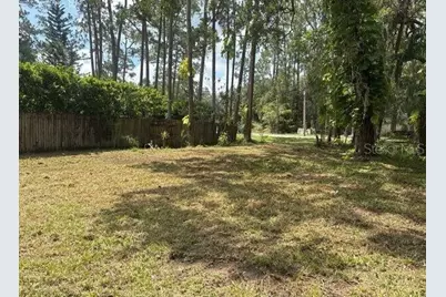 14135 Conifer Drive, Orlando, FL 32832 - Photo 1