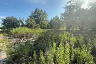 SW Winding Hills Rd, Dunnellon, FL 34431 - Photo 1