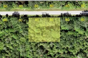 14193 Luxo Ave, Port Charlotte, FL 33953 - Photo 1