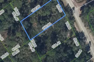 414 Pershing Ave, Lake Placid, FL 33852 - Photo 1