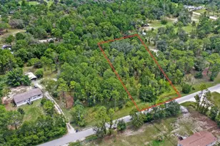 14373 Switch Back, Spring Hill, FL 34609 - Photo 1