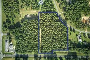 24148 Deep Springs Loop, Eustis, FL 32736 - Photo 1