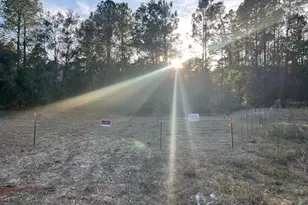 307 Mallard Rd, Satsuma, FL 32189 - Photo 1