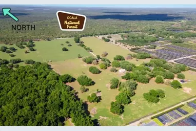 23096 SE Hwy 42, Umatilla, FL 32784 - Photo 1