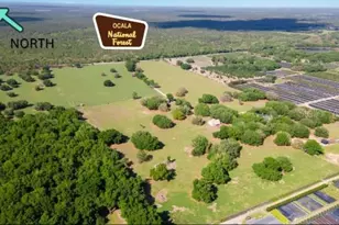 23096 SE Hwy 42, Umatilla, FL 32784 - Photo 1