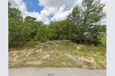 Flatfish Court, Kissimmee, FL 34759 - Photo 1